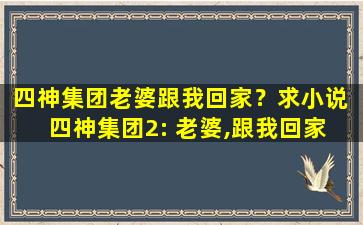 四神*老婆跟我回家？求小说 四神*2： 老婆,跟我回家 谢谢